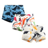 Breathable Cartoon Shorts